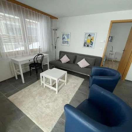 Chalet Moench 펜션